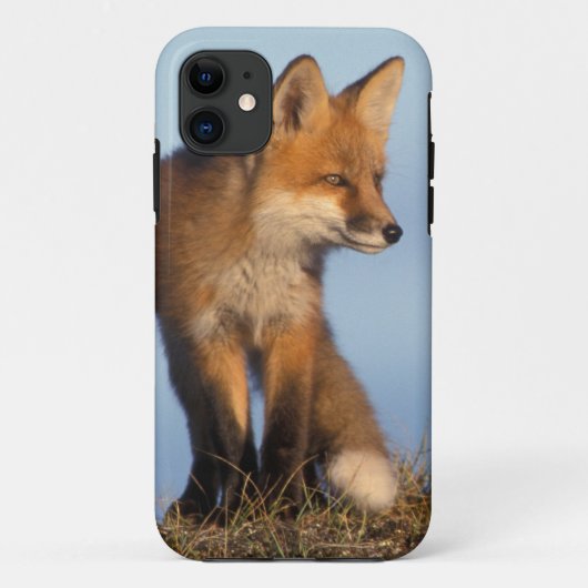 アカギツネ, Vulpes vulpes Case-Mate iPhoneケース (裏面)
