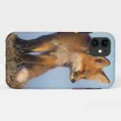 アカギツネ, Vulpes vulpes Case-Mate iPhoneケース (裏面(横))