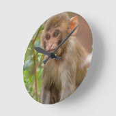 アカゲザルのベビー、猿の寺院、ジャイプル ラウンド壁時計 (傾斜)