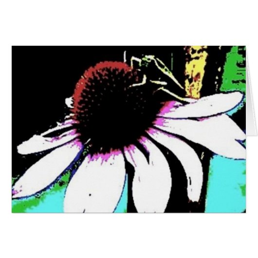 アカゲザル抽象芸術 (正面横)