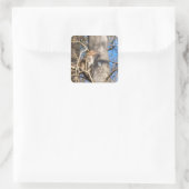 アカゲザル スクエアシール (バッグ)