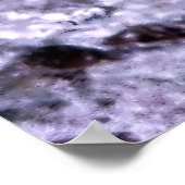 アカゲザル ポスター (角)