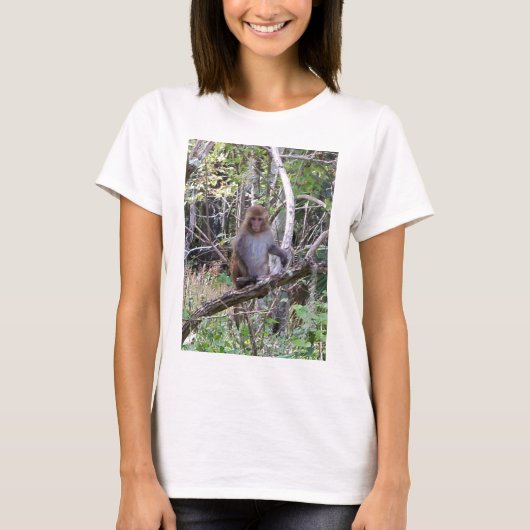 アカゲザル Tシャツ (正面)