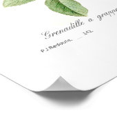 アカゲモドキ ポスター (角)