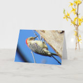 アカゲラのグリーティングカード カード (黄色い花)