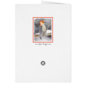 アカゲラの絵を描オリジナルバードアート (裏面)