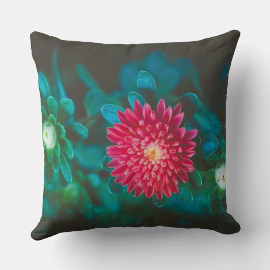 アカゲラソウ クッション (裏面)