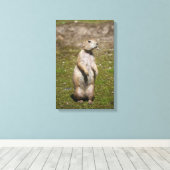 アカゲラマダラ キャンバスプリント (インサイチュ (ウッドフロア))