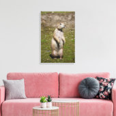 アカゲラマダラ キャンバスプリント (インサイチュ (リビング))