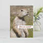 アカゲラマダラ 招待状 (スタンド正面)