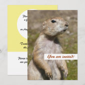 アカゲラマダラ 招待状 (正面/裏面)