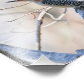 アカゲラ フォトプリント (角)