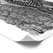 アカゲラ ポスター (角)