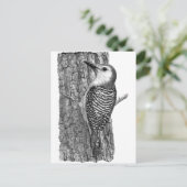 アカゲラ ポストカード (スタンド正面)