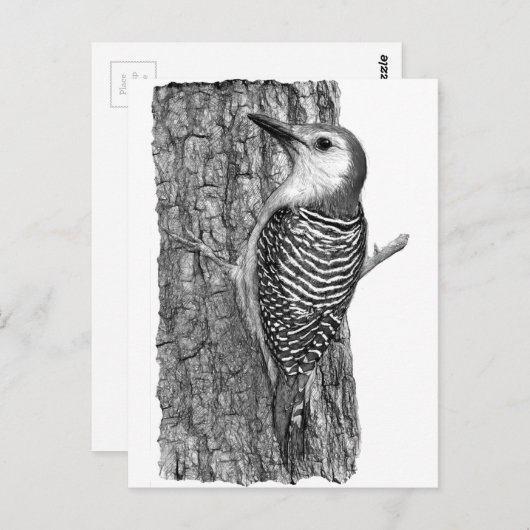 アカゲラ ポストカード (正面/裏面)