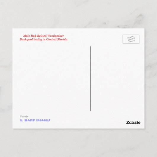 アカゲラ ポストカード (裏面)