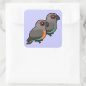 アカゲワシのオウム スクエアシール (バッグ)