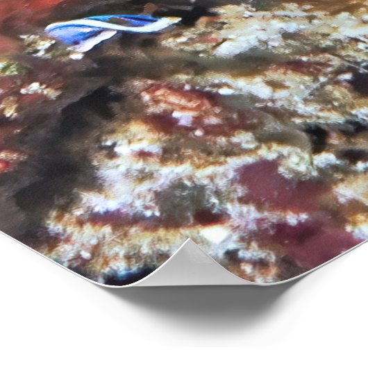 アカゲワシ ポスター (角)