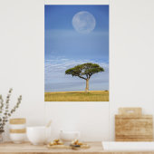 アカシアの木々の上の満月、マサイマラ。 ポスター (キッチン)