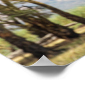 アカシアの木々の上を飛行するラプター ポスター (角)