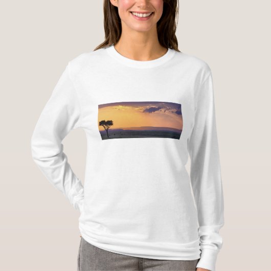 アカシアの木が1本あるののパノラマビュー Tシャツ (正面)