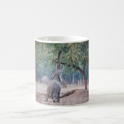 アカシアの木に届くゾウ コーヒーマグカップ (中央)