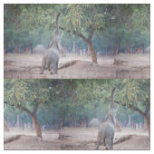 アカシアの木に届くゾウ ファブリック (クローズアップ)