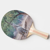 アカシアの木に届くゾウ 卓球ラケット (横)