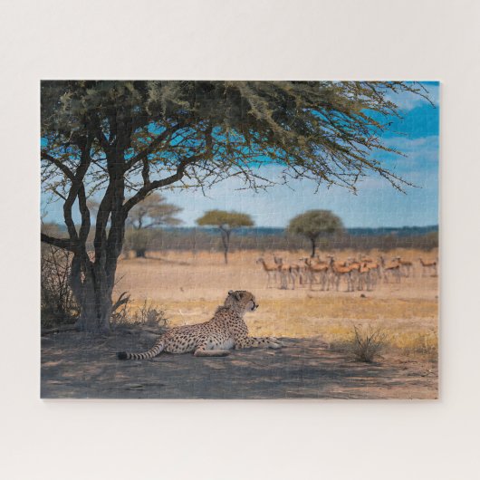 アカシアの木の下で休むチーター ジグソーパズル (横)