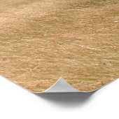 アカシアの木の下のバッファロー ポスター (角)