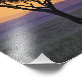 アカシアの独身の木のパノラマ フォトプリント            (角)