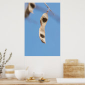 アカシアの種子 ポスター (キッチン)