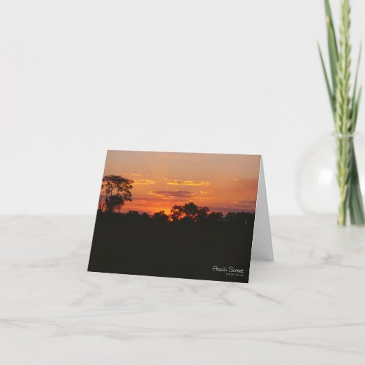 アカシアサンセットグリーティングカード カード (正面)