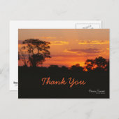 アカシアサンセットサンセットサンキューポストカード ポストカード (正面/裏面)