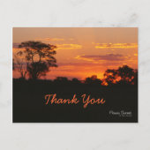 アカシアサンセットサンセットサンキューポストカード ポストカード (正面)