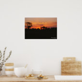 アカシアサンセットプリント ポスター (キッチン)