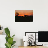 アカシアサンセットプリント ポスター (ホームオフィス)