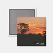 アカシアサンセットマグネット マグネット (正面/裏面)