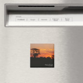 アカシアサンセットマグネット マグネット (インサイチュ (食洗機))