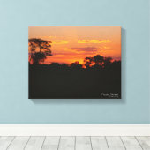 アカシアサンセット キャンバスプリント (インサイチュ (ウッドフロア))