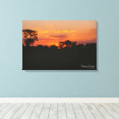アカシアサンセット キャンバスプリント (インサイチュ (ウッドフロア))