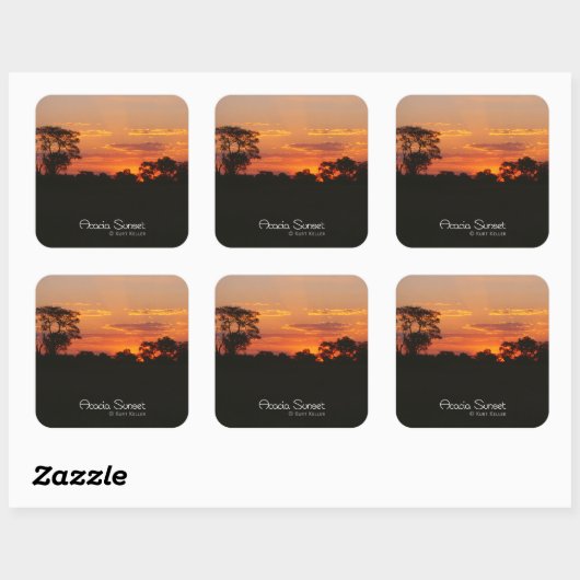 アカシアサンセット スクエアシール (シート)