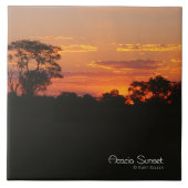 アカシアサンセット タイル (正面)