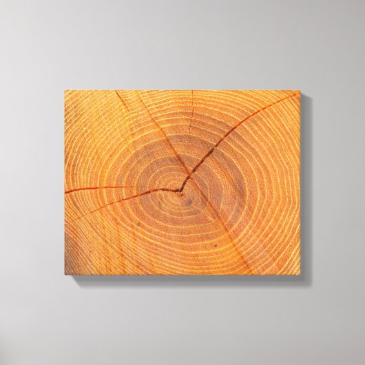 アカシアツリー断面キャンバス印刷 キャンバスプリント (正面)