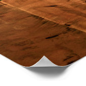 アカシアツリー16 x 20 by Ben Walker ポスター (角)