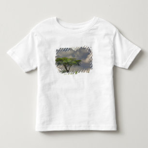 アカシア・トルティリス 2 トドラーTシャツ