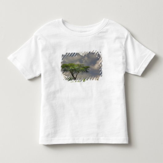 アカシア・トルティリス 2 トドラーTシャツ (正面)