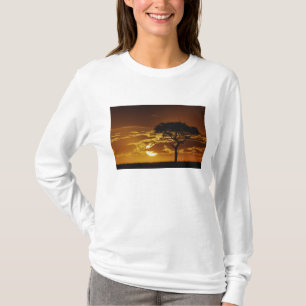 アカシア・トルティリス Tシャツ