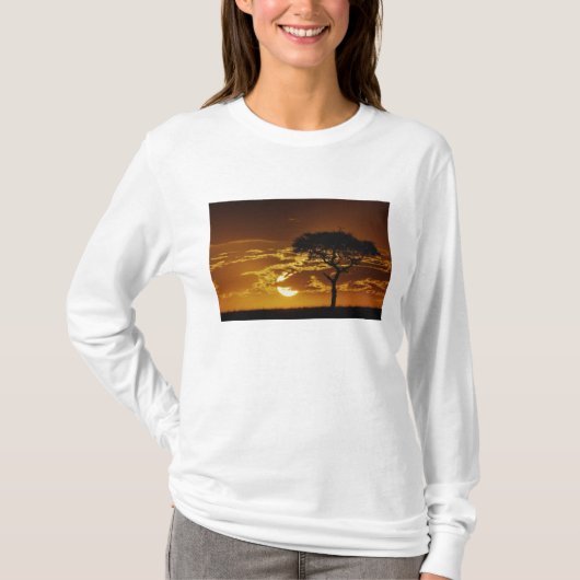 アカシア・トルティリス Tシャツ (正面)