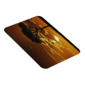 アカシア・トルティーリス・アンブレラサンザシ マグネット (右側)